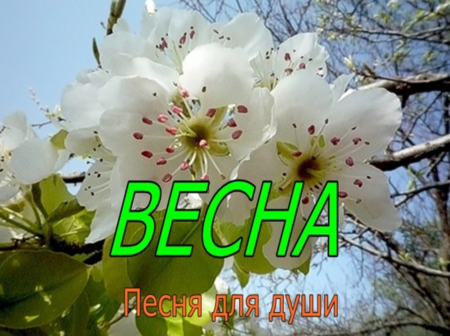 🎼 🎵 ВЕСНА